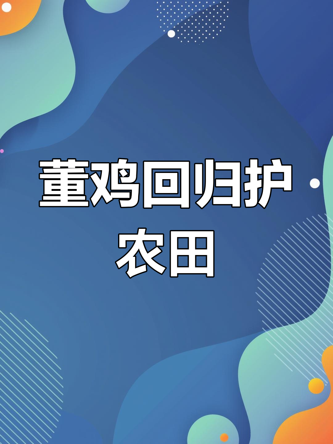 董鸡归来,稻田里忙碌捕虫,叫声不断,守护田园的美丽身影