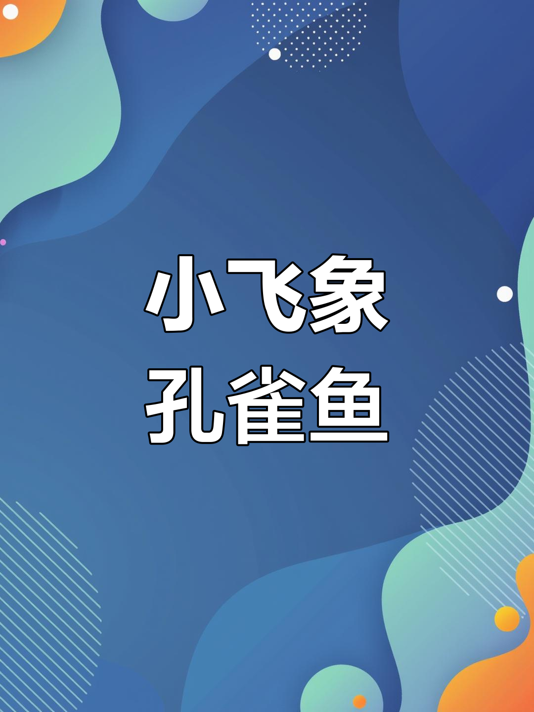 泰国小飞象孔雀鱼:大耳朵像要起飞,玻璃缸中的美丽自然