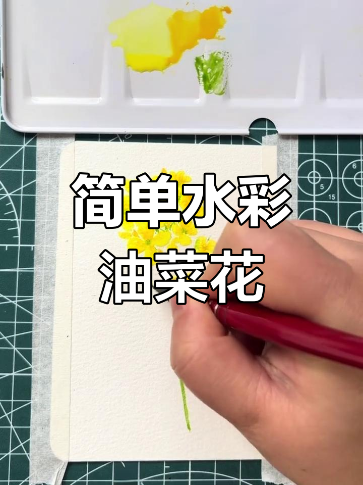 水彩油菜花画法,零基础也能轻松上手