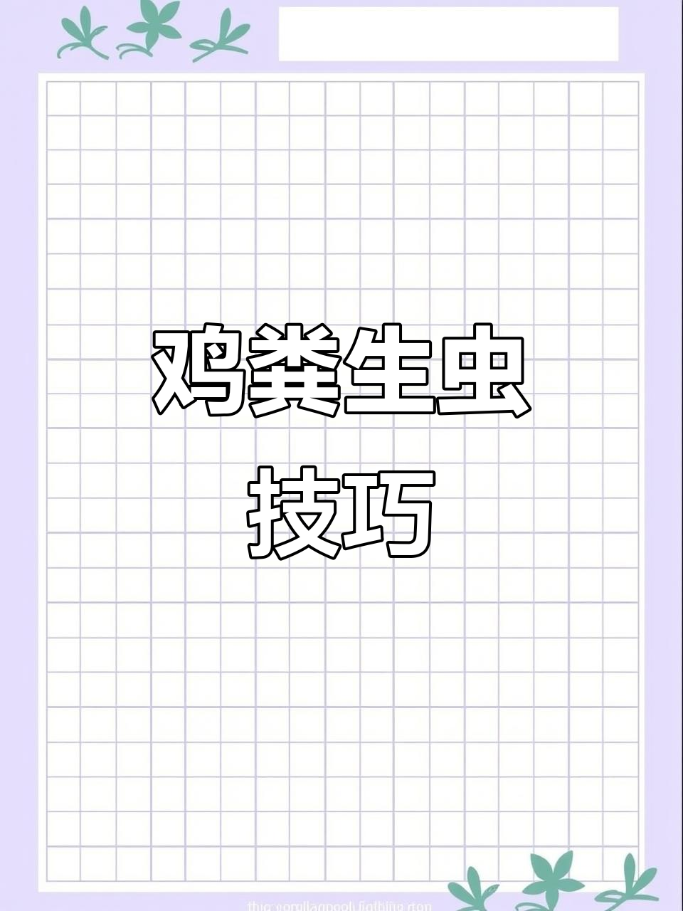 鸡粪育虫法:简单步骤教你养虫子喂鸡