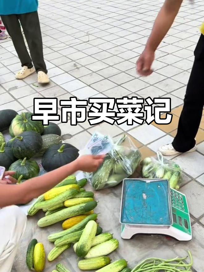 早起去菜市场,新鲜蔬菜大揭秘!