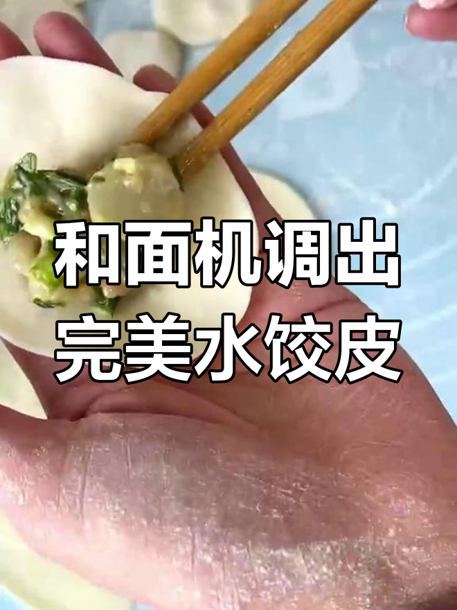 完美饺子皮,和面机教你最佳比例