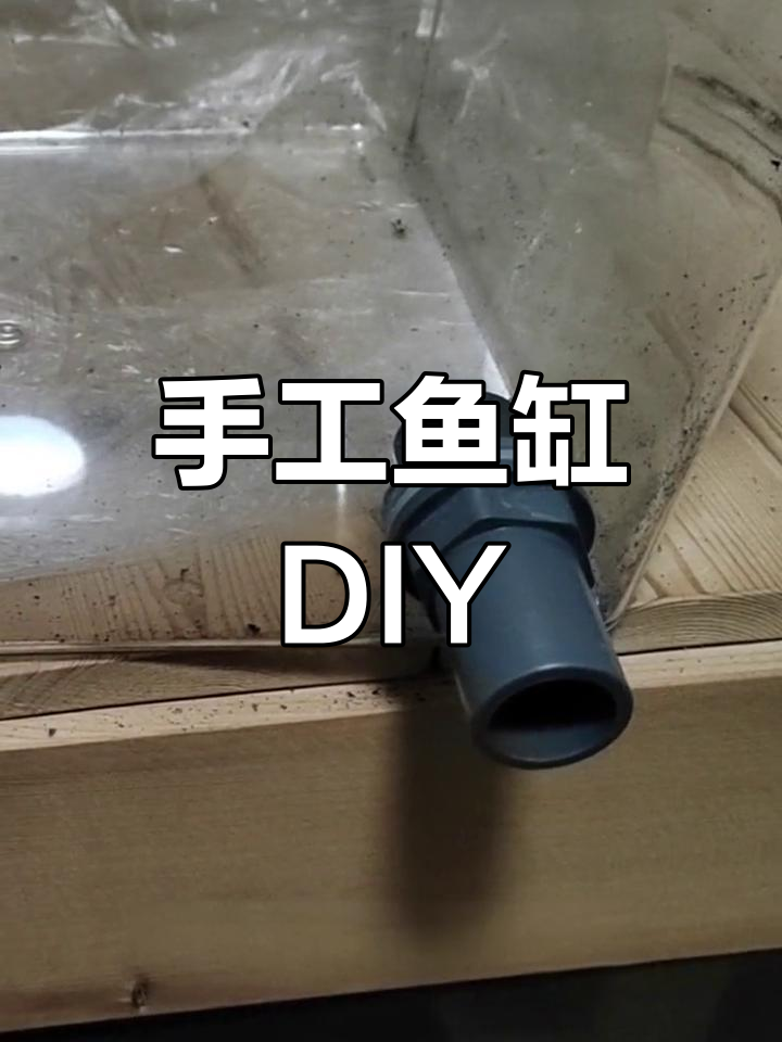 用糖果盒打造精致鱼缸,手工制作全解析!