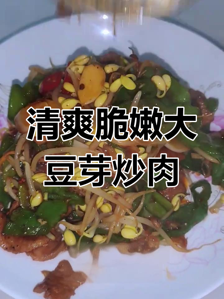 大豆芽炒肉,家常下饭新做法!
