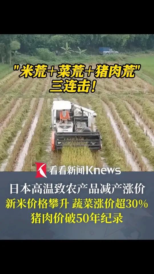 “米荒+菜荒+猪肉荒”三连击!日本高温致农产品减产涨价蔬菜涨价超30% 猪肉价破50年纪录
