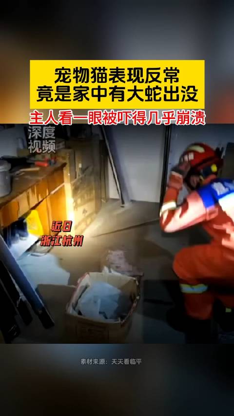 宠物猫反常主人看一眼险崩溃 近日,浙江杭州。消防大队接到了一个特殊求救电话,电话那头的男子