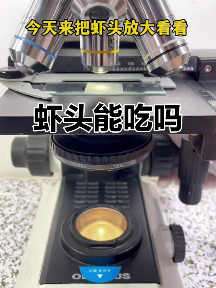 小龙虾虾头到底能不能吃?揭秘小龙虾头部真相
