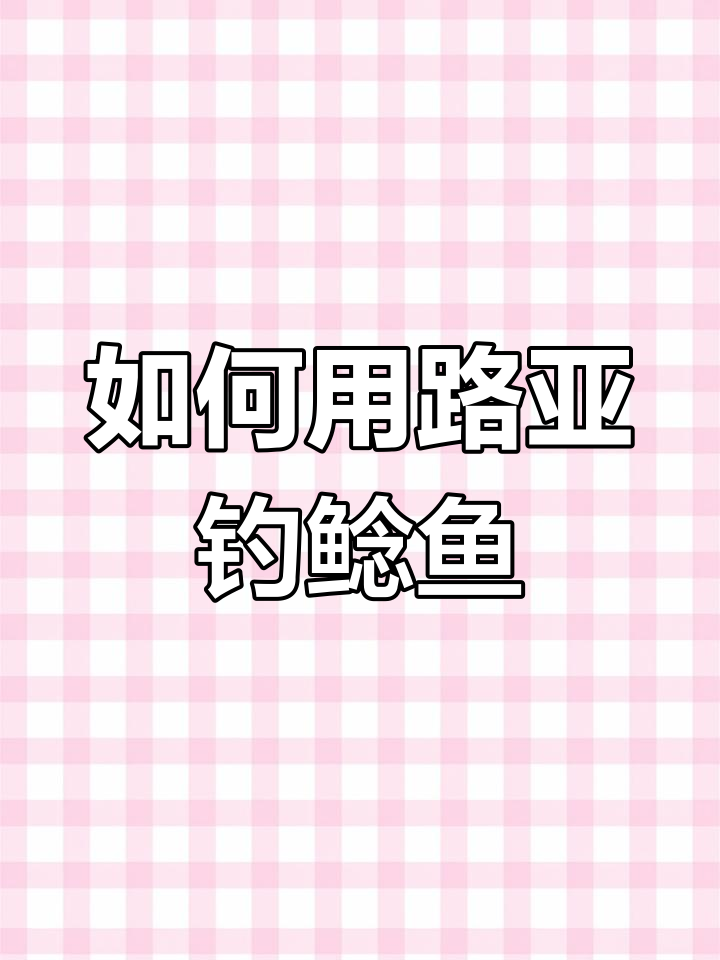 钓鲶鱼技巧大揭秘:装备与饵料选择全攻略