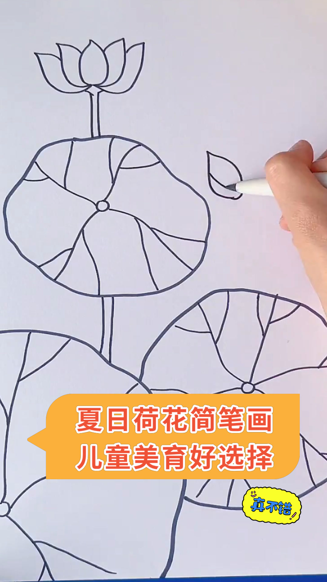 夏日荷花简笔画儿童美育好选择