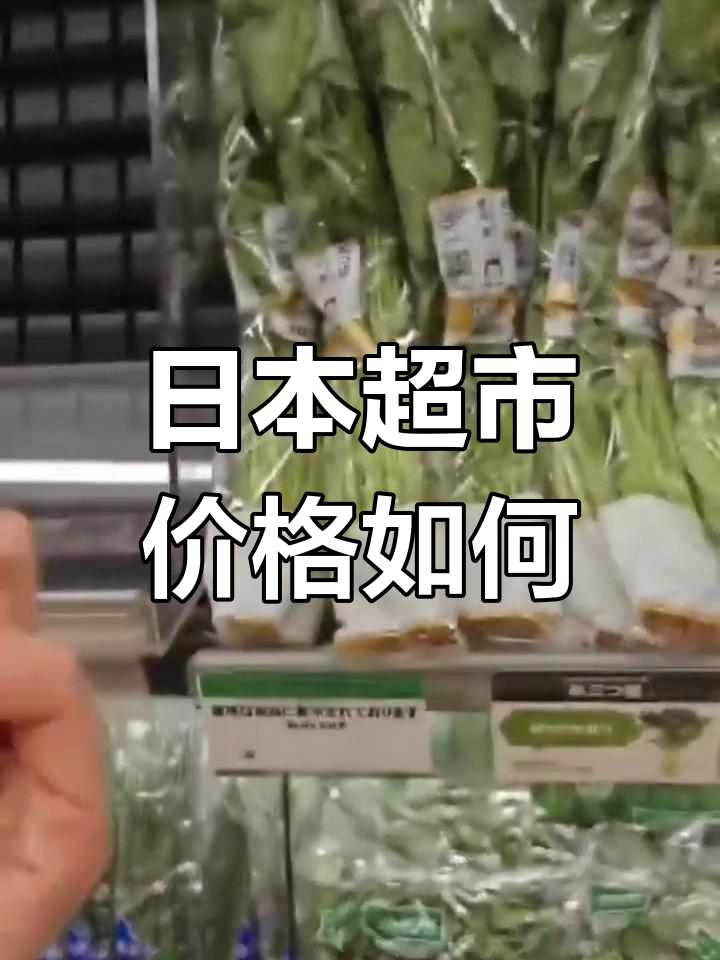 日本超市物价大揭秘!蔬菜贵到离谱,水果也不便宜