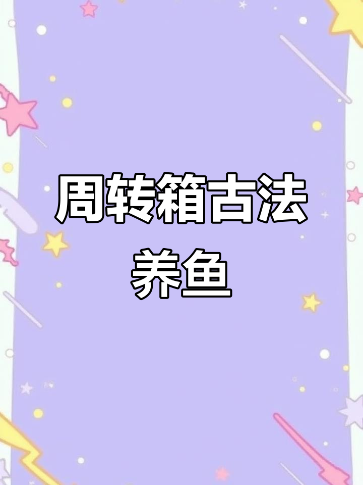 周转箱古法养鱼全攻略,轻松打造水草生态缸