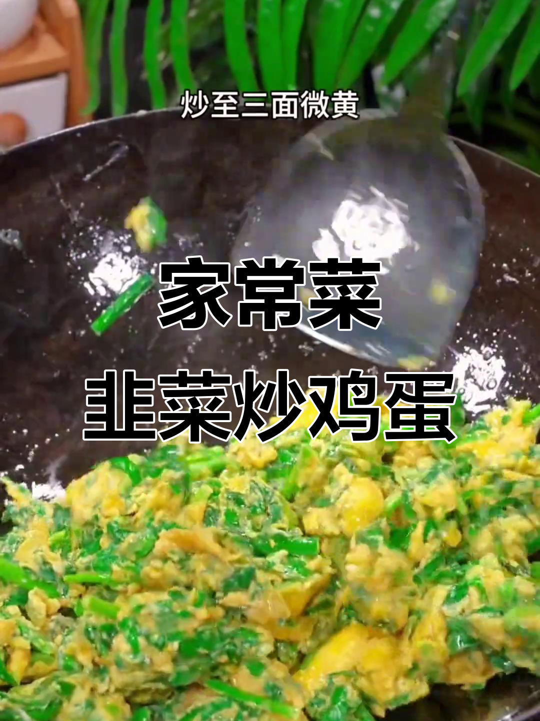 韭菜炒鸡蛋、辣椒茄子烧皮蛋,家常美食轻松学