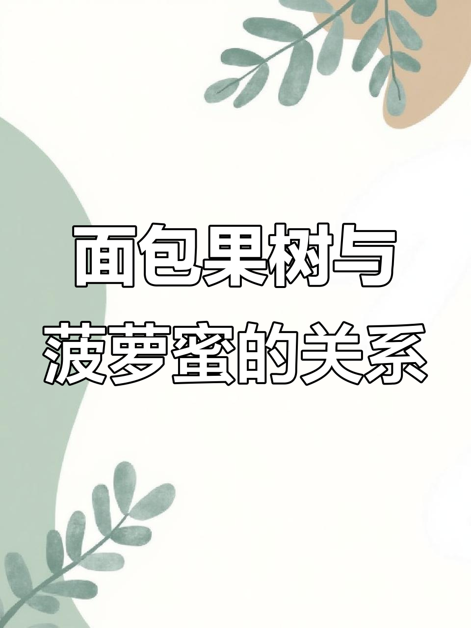 面包果：长得像奶酪，口感超丰富！