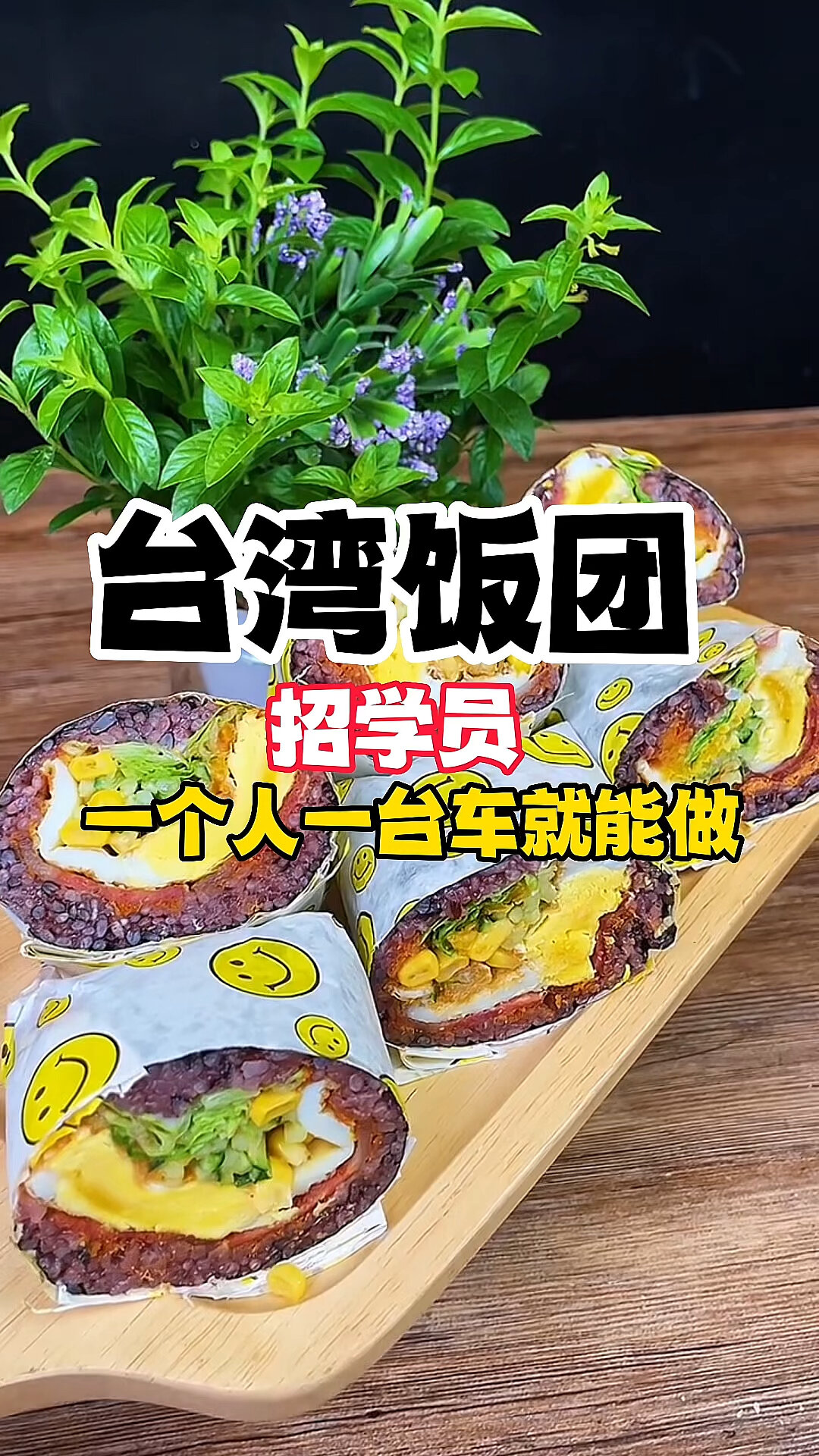 适合新手小白做的饭团项目,台湾饭团培训