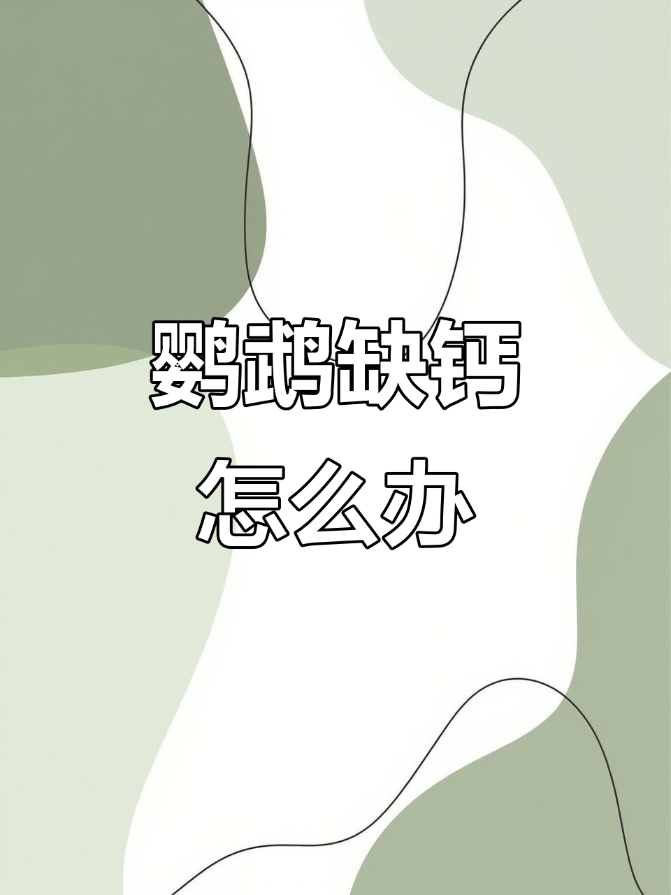鹦鹉不吃墨鱼骨?试试墨鱼骨粉,补钙更轻松