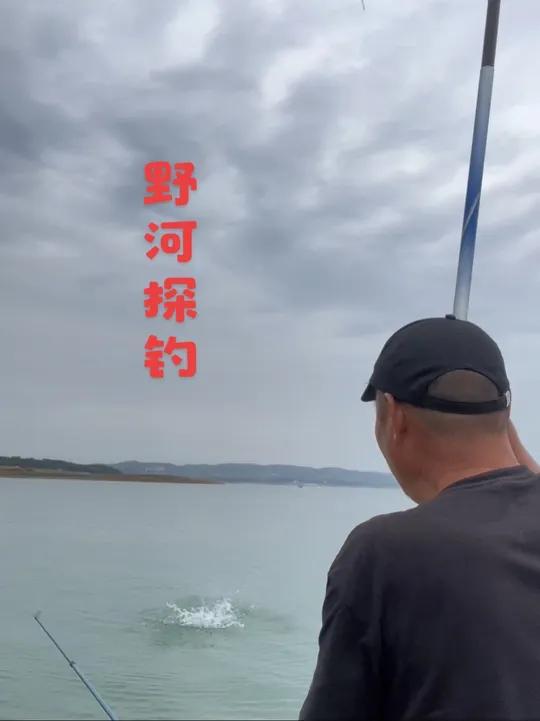 探钓野河 丹江真实鱼情，红尾个体不小鲤鱼口一般