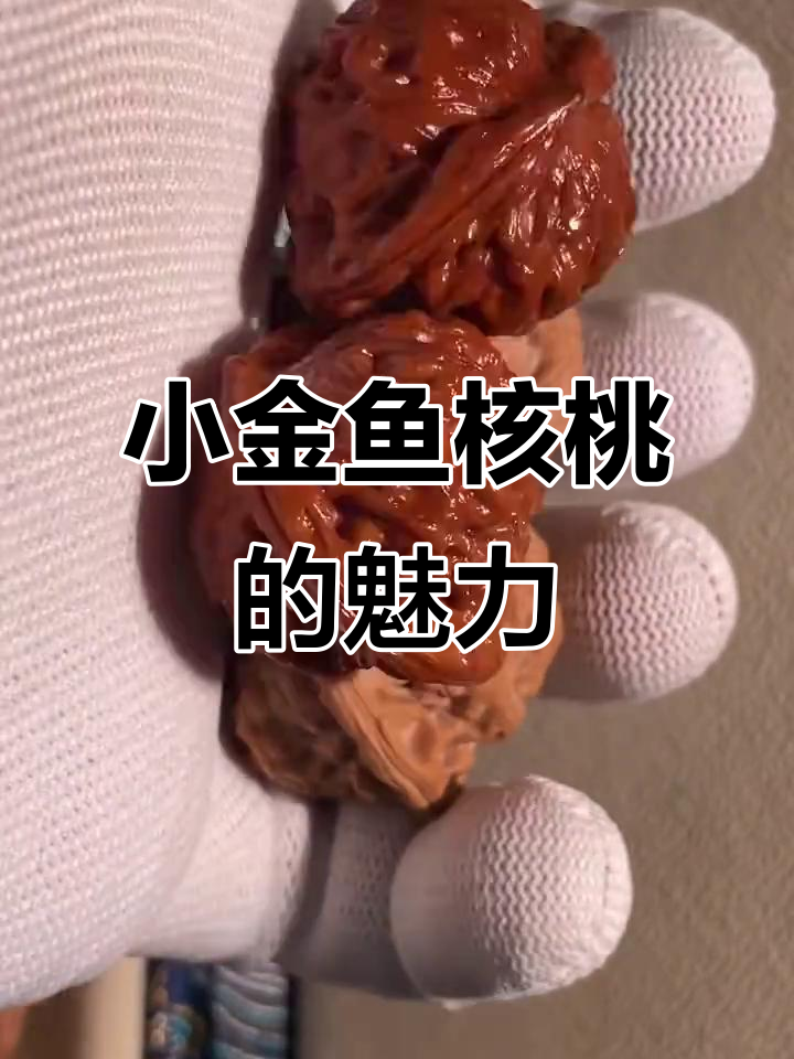 极品小金鱼核桃,三角形体与鱼子纹完美结合