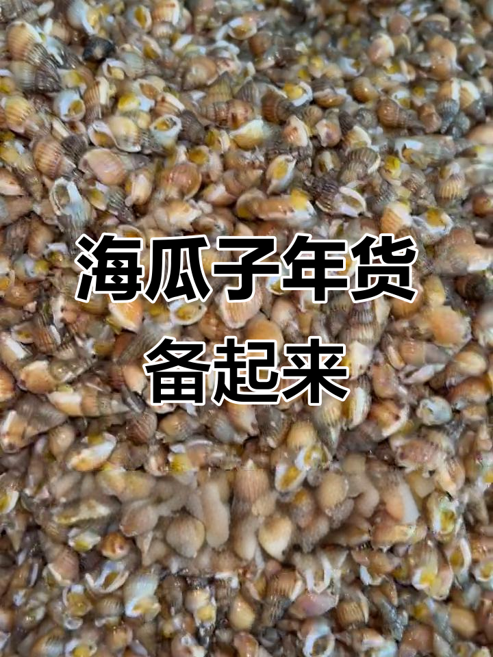 海瓜子肉多鲜美,南北年夜饭差异大揭秘
