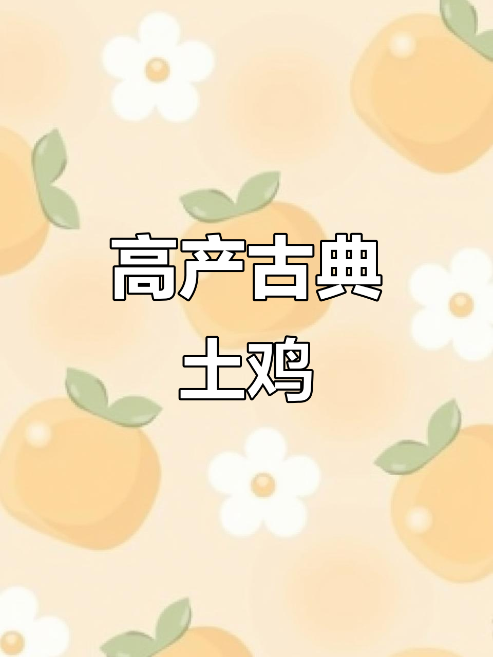 古典鸡散养,产蛋量高又美观