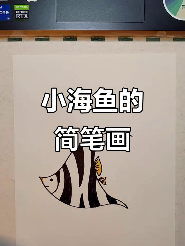轻松学画小海鱼，简单又有趣