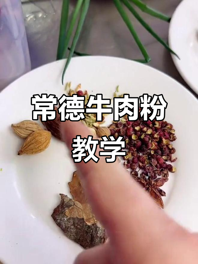 湖南常德牛肉粉制作全流程,零基础也能轻松学会