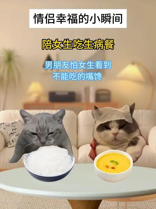 情侣间幸福小瞬间  情侣日常 正经小猫 甜甜的恋爱 表情包 meme