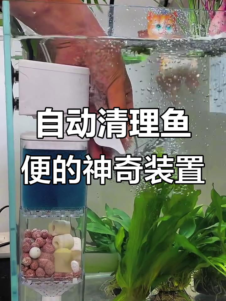 鱼马桶三效合一,自动清理鱼便更轻松