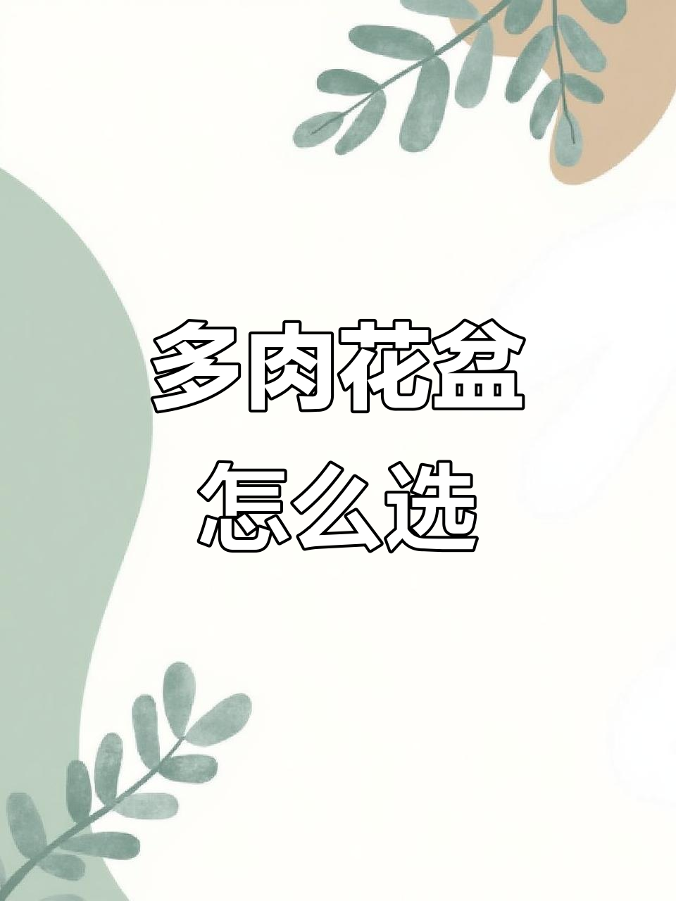 选豪宅还是圆盆?多肉花盆搭配大挑战!