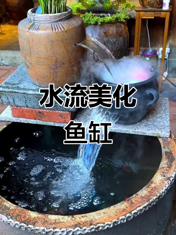 流水系统让鱼缸更美观,还能净化水质、增加氧气!