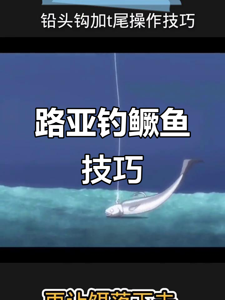 路亚铅头钩搭配T尾钓鳜鱼技巧,轻松掌握操作方法