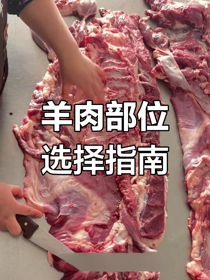 羊后腿肉、里脊与外脊,哪个最适合做串串?