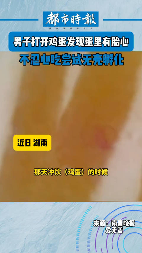 近日,湖南。一男子在冲饮鸡蛋时发现蛋中已经有胎心了,不忍心吃,就将已经破壳的鸡蛋放置在碗中