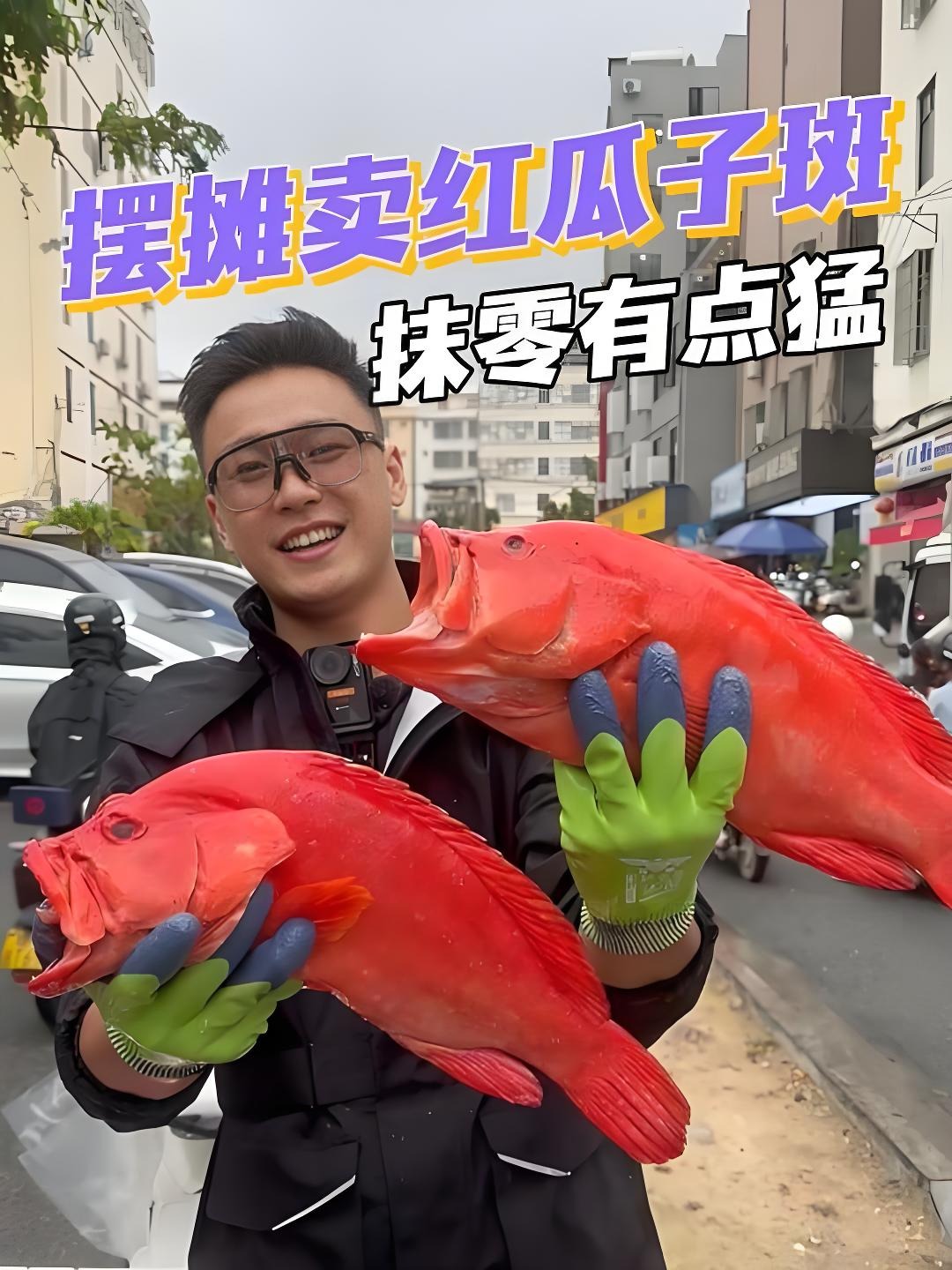 雨天还有人喜欢！辛苦大家顶风冒雨来买鱼呢～红瓜子！红九棘鲈～嫩呢！清蒸清蒸！