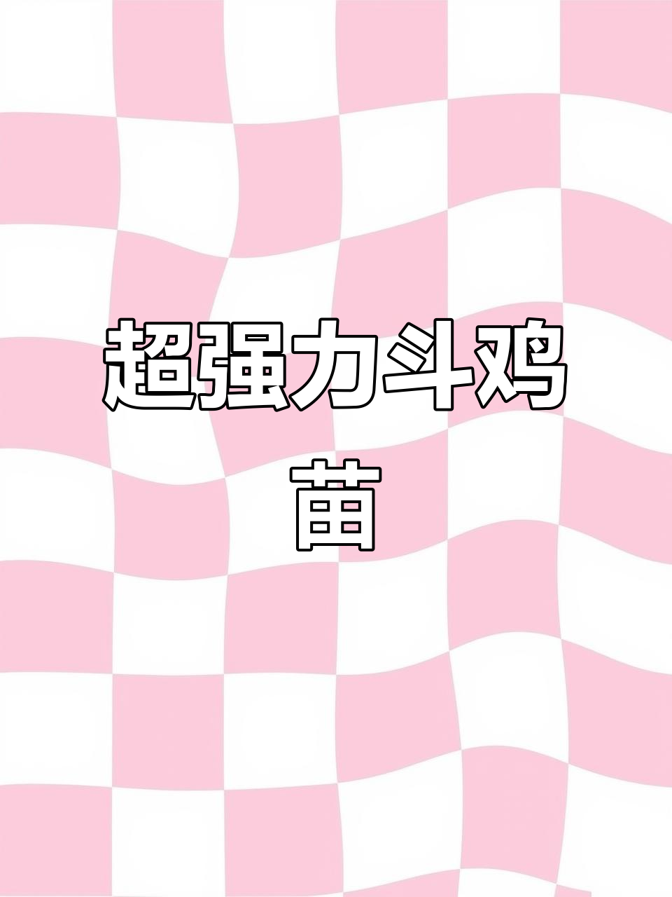 斗鸡苗精选，宽胸高腿超强力