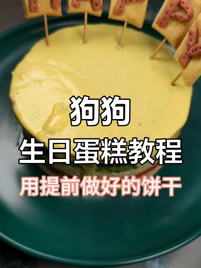 狗狗生日蛋糕大揭秘,家长必学制作方法