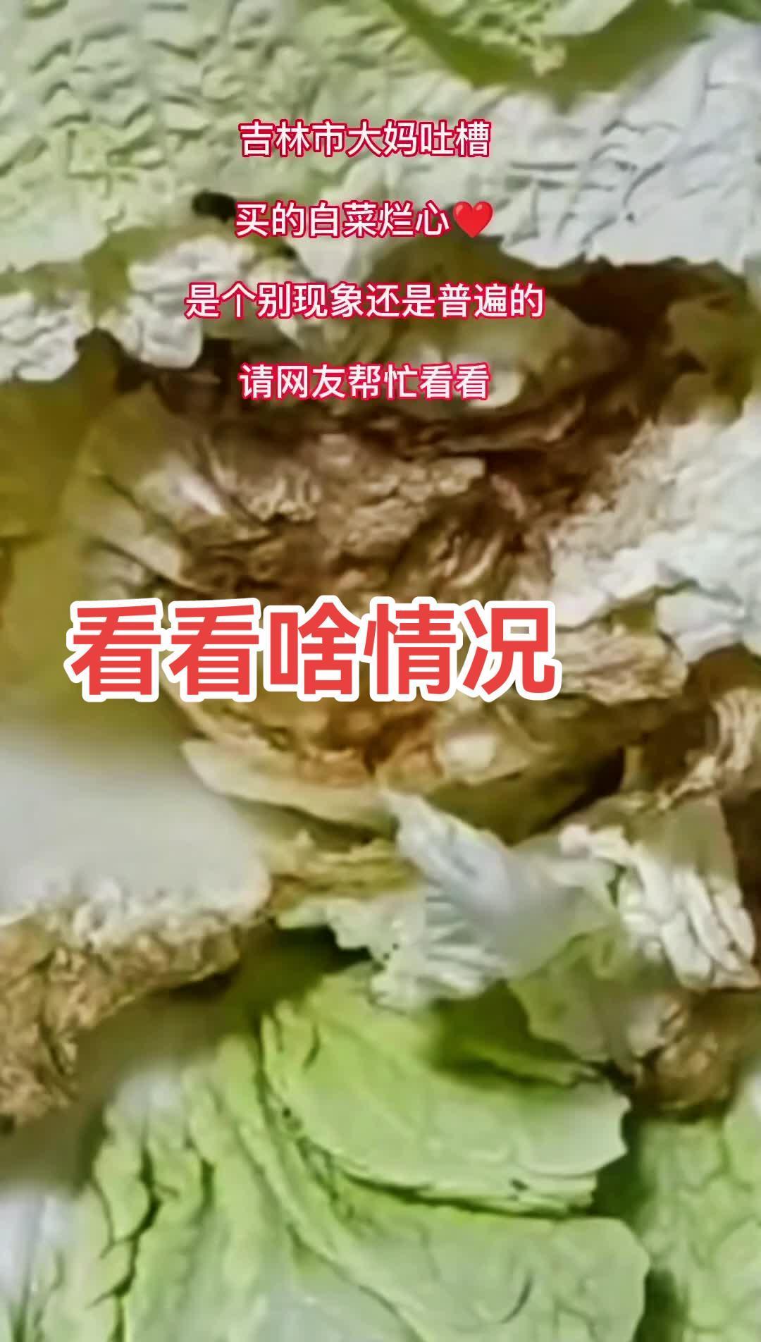 传递正能量 社会百态 记录真实生活 你家买白菜了吗?