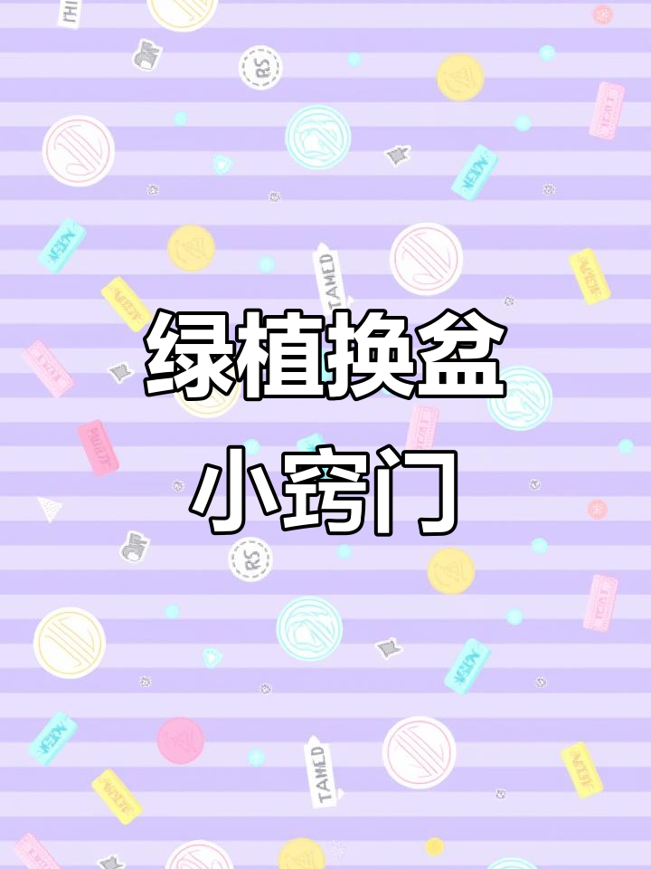 换盆别急，慢慢来！我的面包树快撑不住了