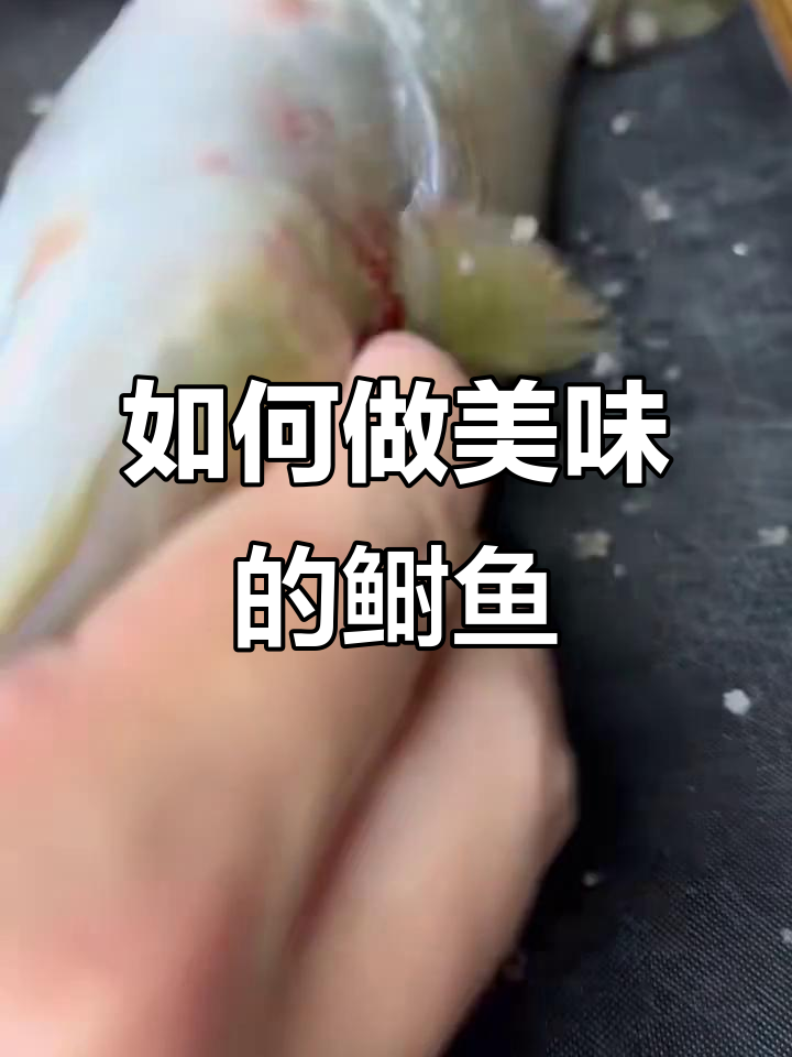鲥鱼做法大揭秘,看看这道美味怎么做!