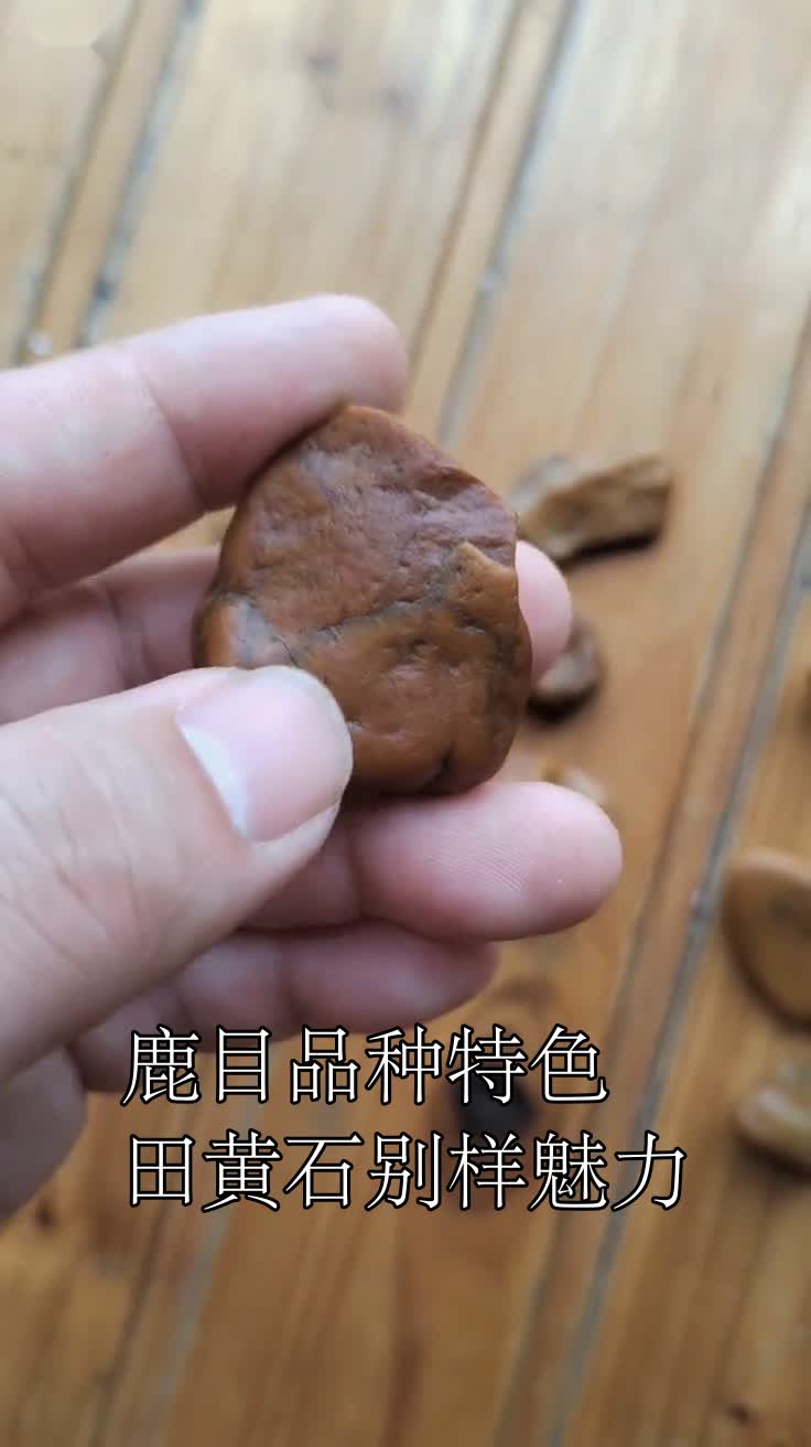鹿目品种特色田黄石别样魅力