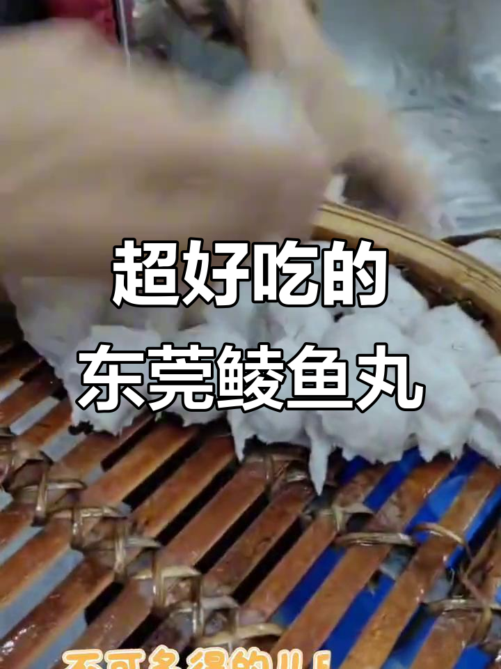 东莞传统手打鲮鱼丸，鲜美无敌！