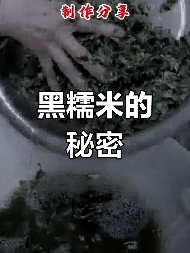 枫叶染黑糯米,60度浸泡6小时,色浓味美!