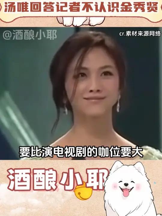 汤唯在韩娱的地位