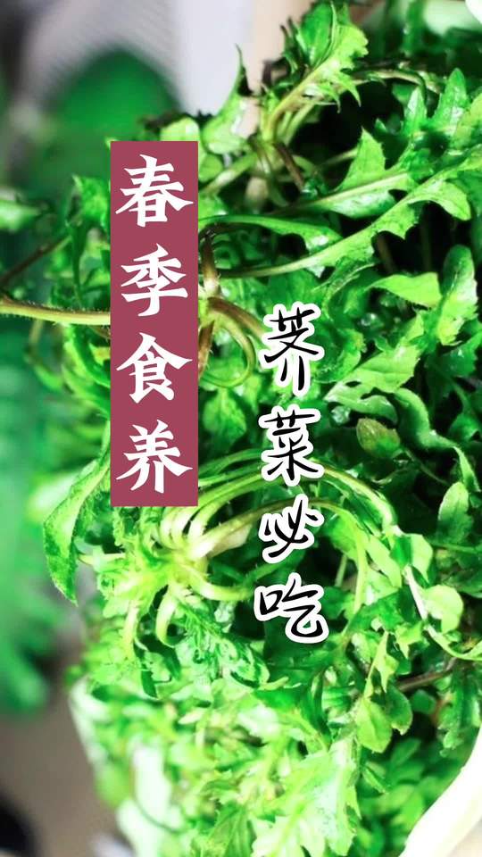 春季养生：养好脾胃，护肝更健康