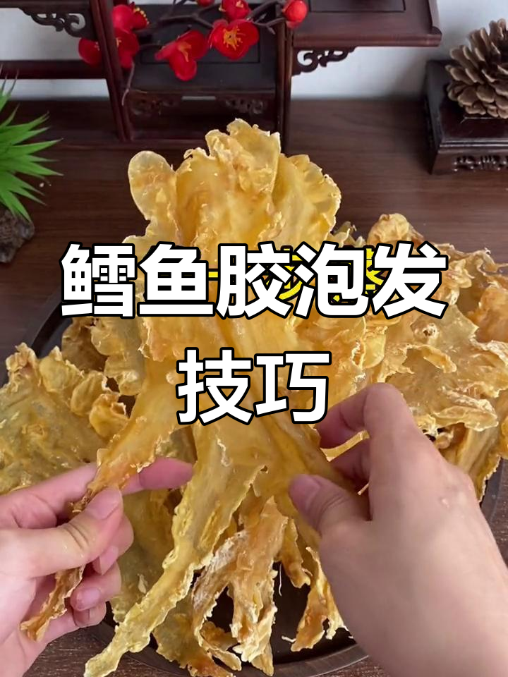 如何泡发鳕鱼胶,轻松学起来