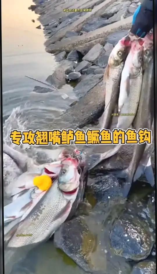 主钓翘嘴鳜鱼鲈鱼等等,旋转鱼钩可以防缠绕,避免子线打结