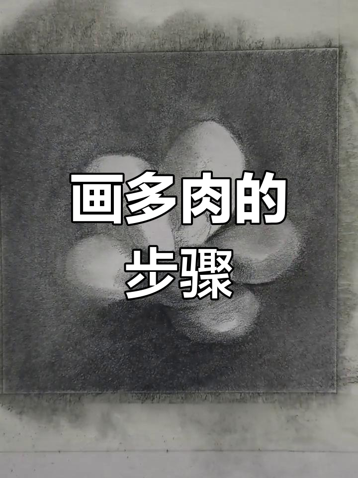 多肉植物素描绘制技巧