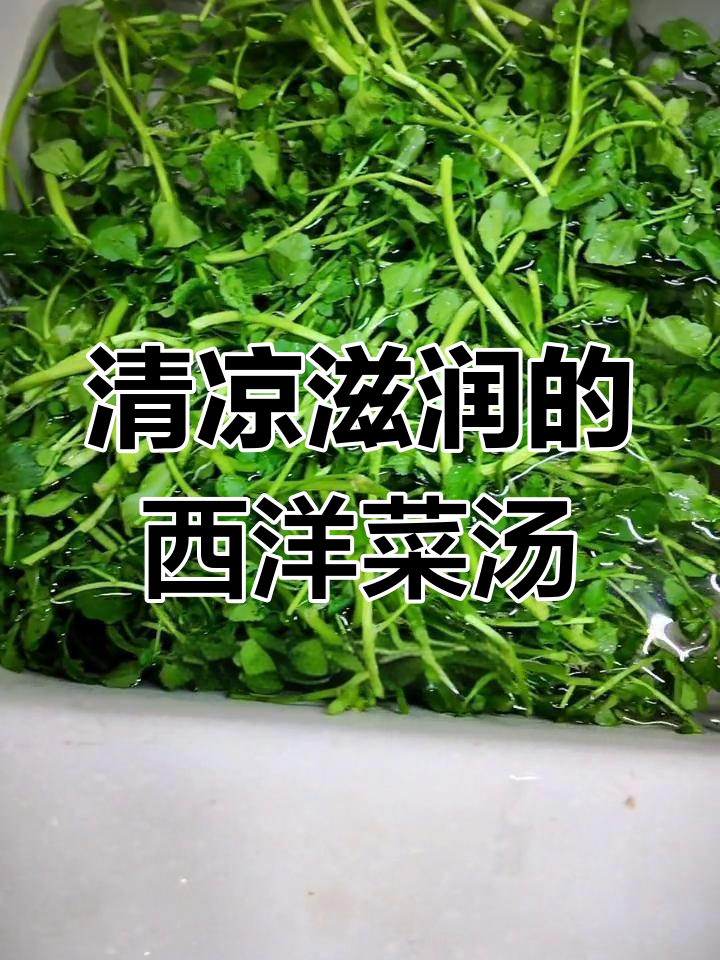 冬季西洋菜猪骨汤,清润又美味