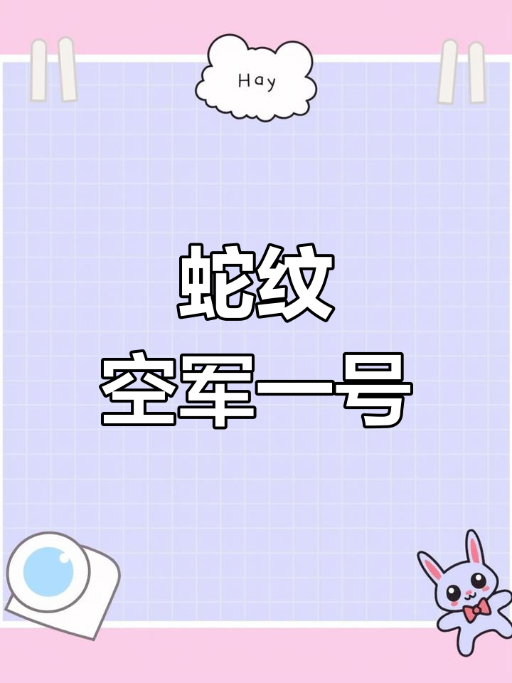 蛇纹拼接空军一号,星火燎原设计展现中国风