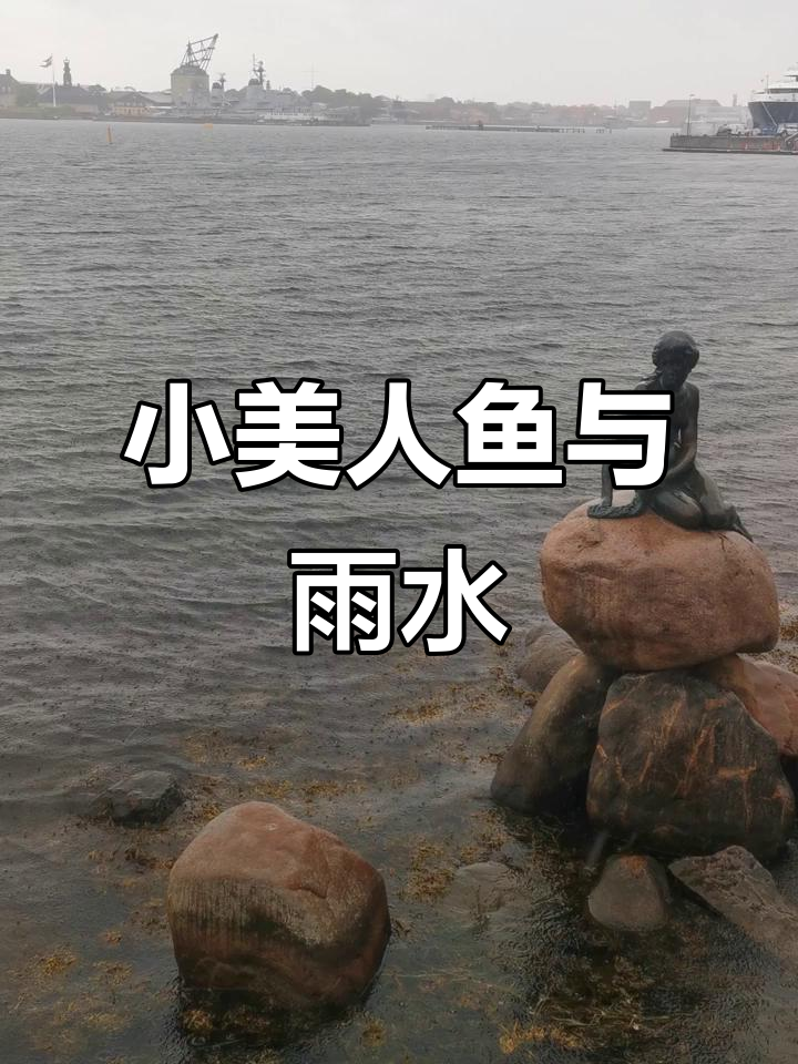 哥本哈根小美人鱼雕像与雨中的魅力