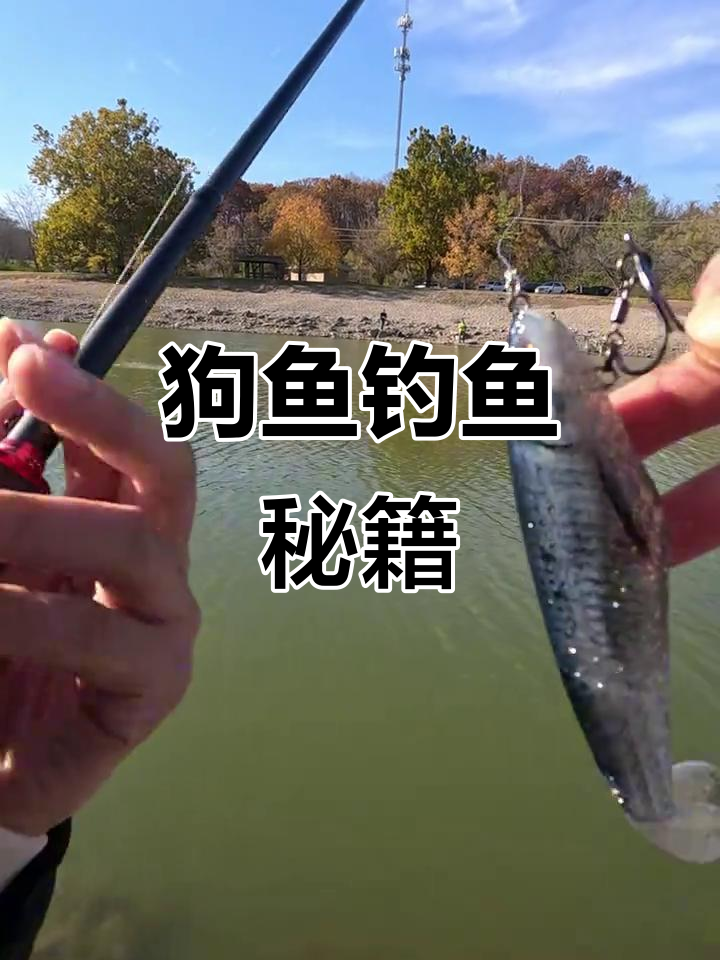 想钓狗鱼?饵料选择有诀窍,看这个视频轻松掌握!